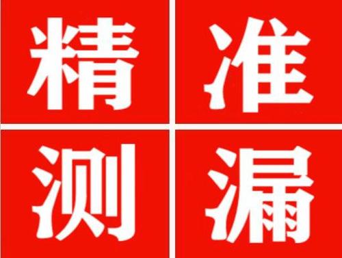 新洲尚嘉漏水精准查找