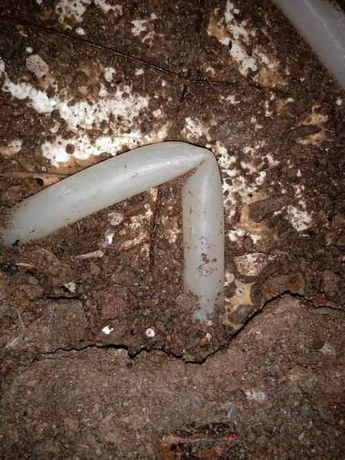 新洲堵点精准查找